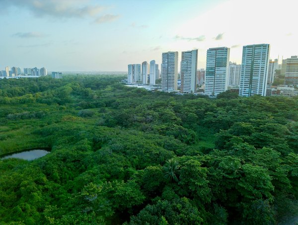 Le rôle essentiel du médecin de proximité dans le bien-être mental
